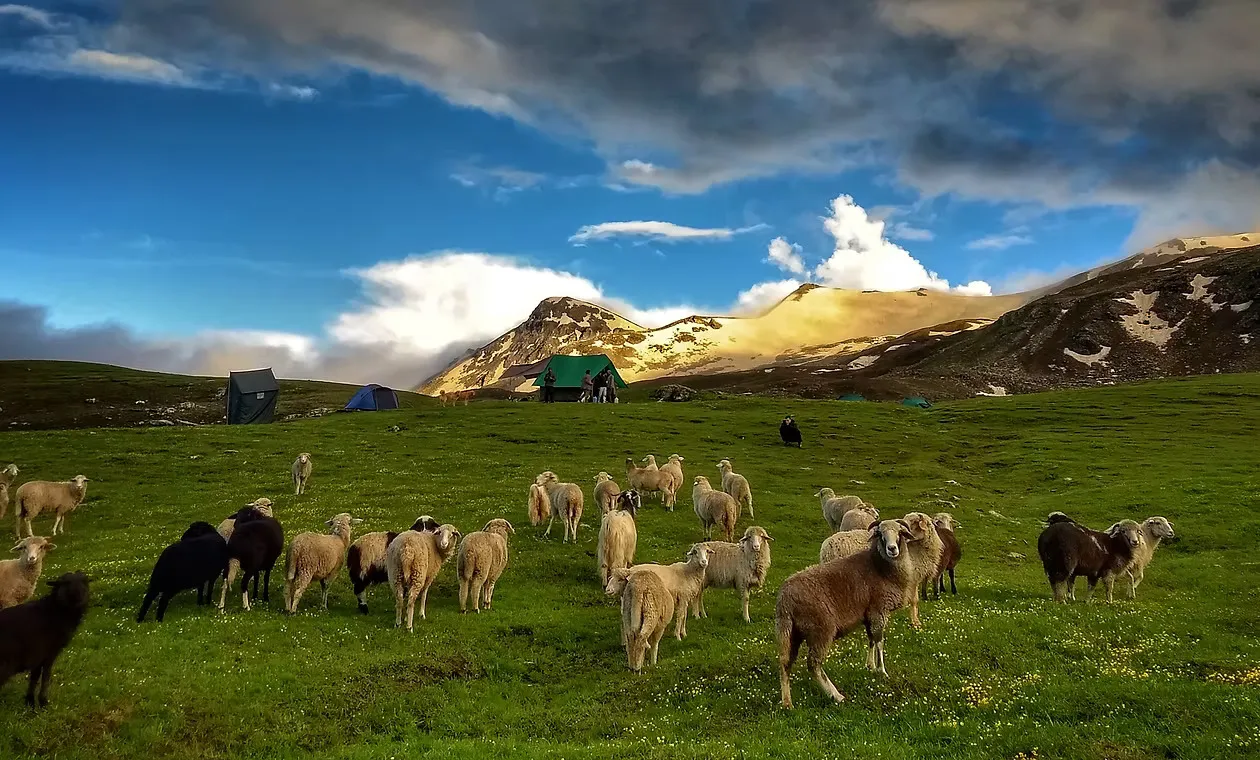 Life in Kalap: Culture & Traditions