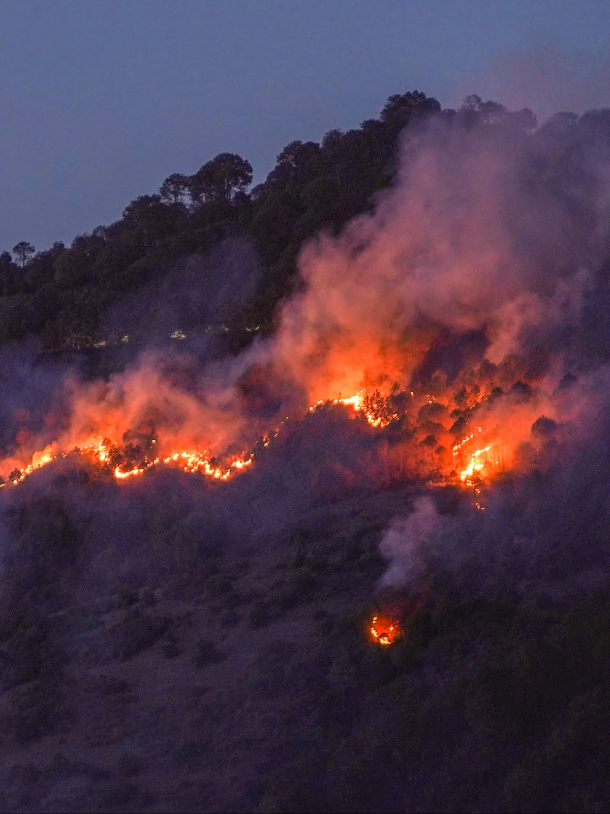 What Burns is More Than Just Forest