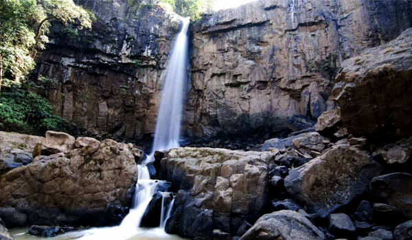 Tiger Point & Fish Point – Nature in Motion