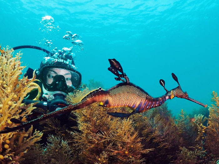 Port Phillip Bay, Victoria