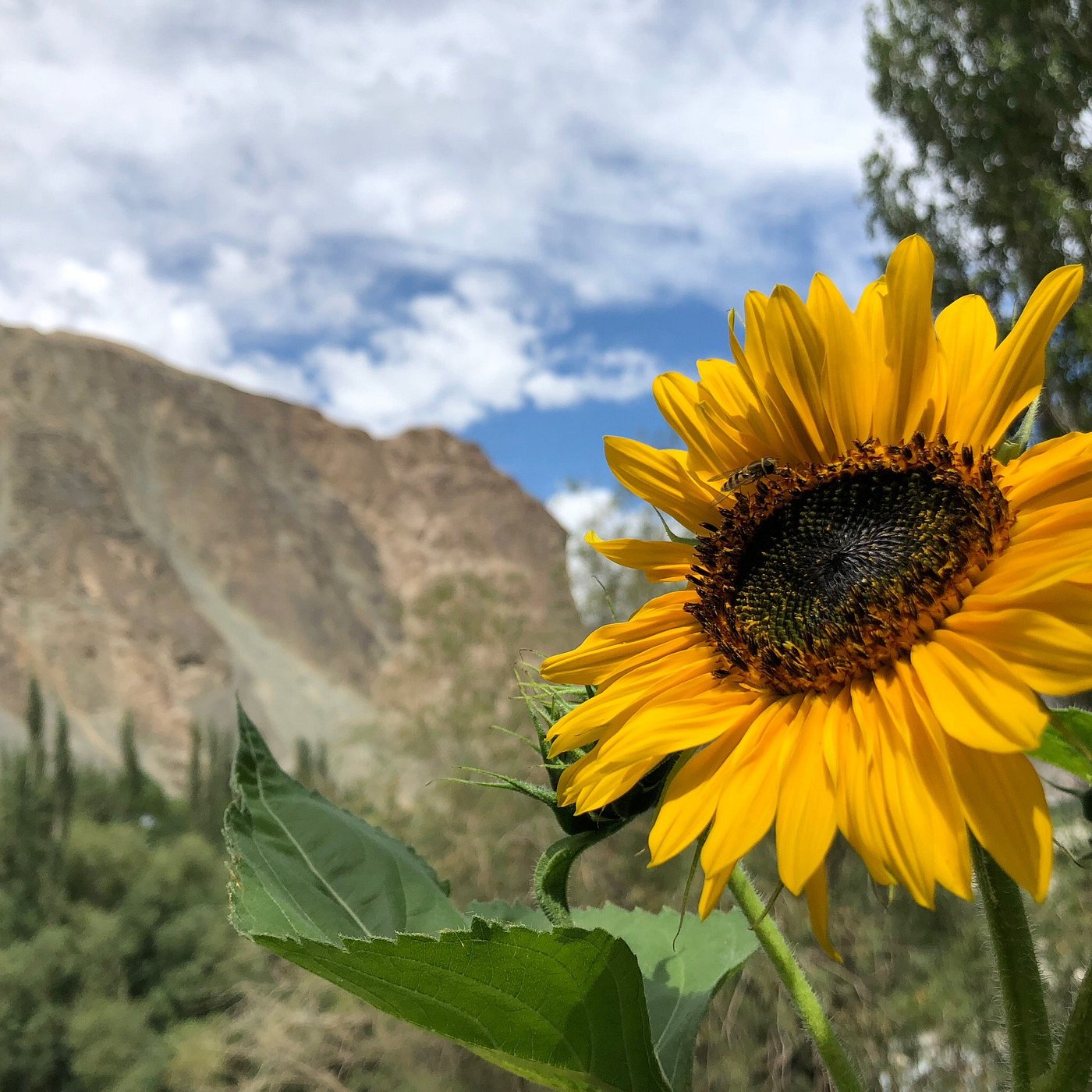 Why Turtuk Is More Than a Destination