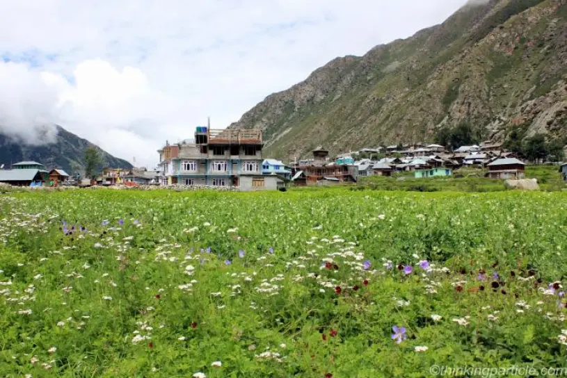 Culture & Traditions