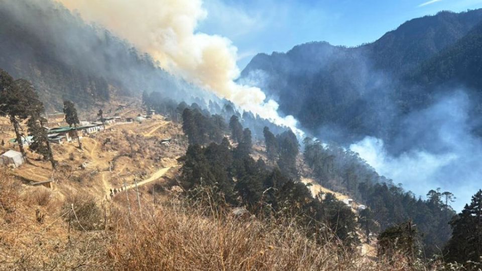 Vanishing Greens of the Himalayas: The Hidden Cost of Travel in Himachal & Uttarakhand