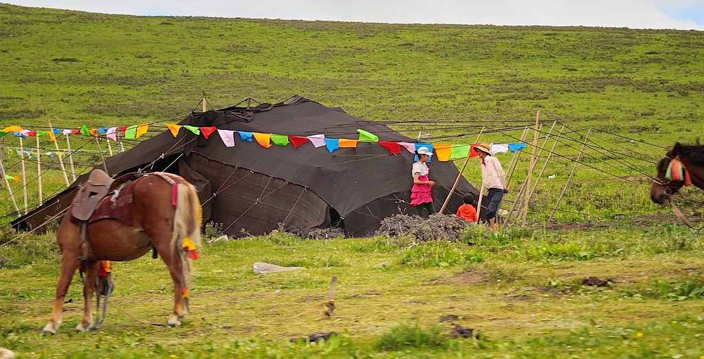 Why Damxung Feels Different