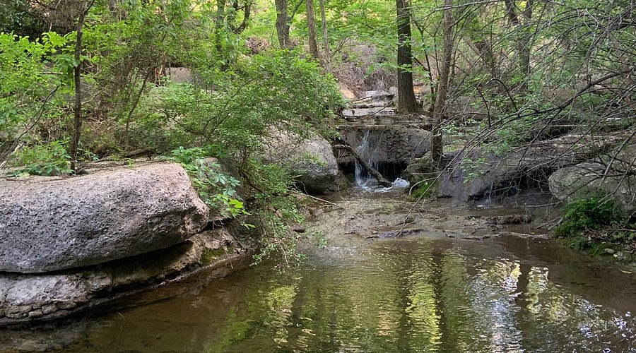 The Experience Behind the Price