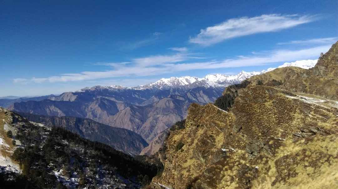 Walking Through a Living Ecosystem