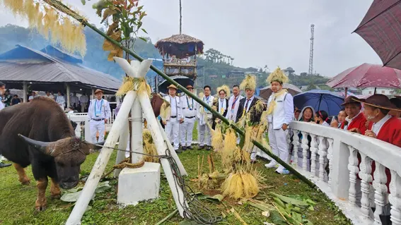 Festivals and Cultural Celebrations