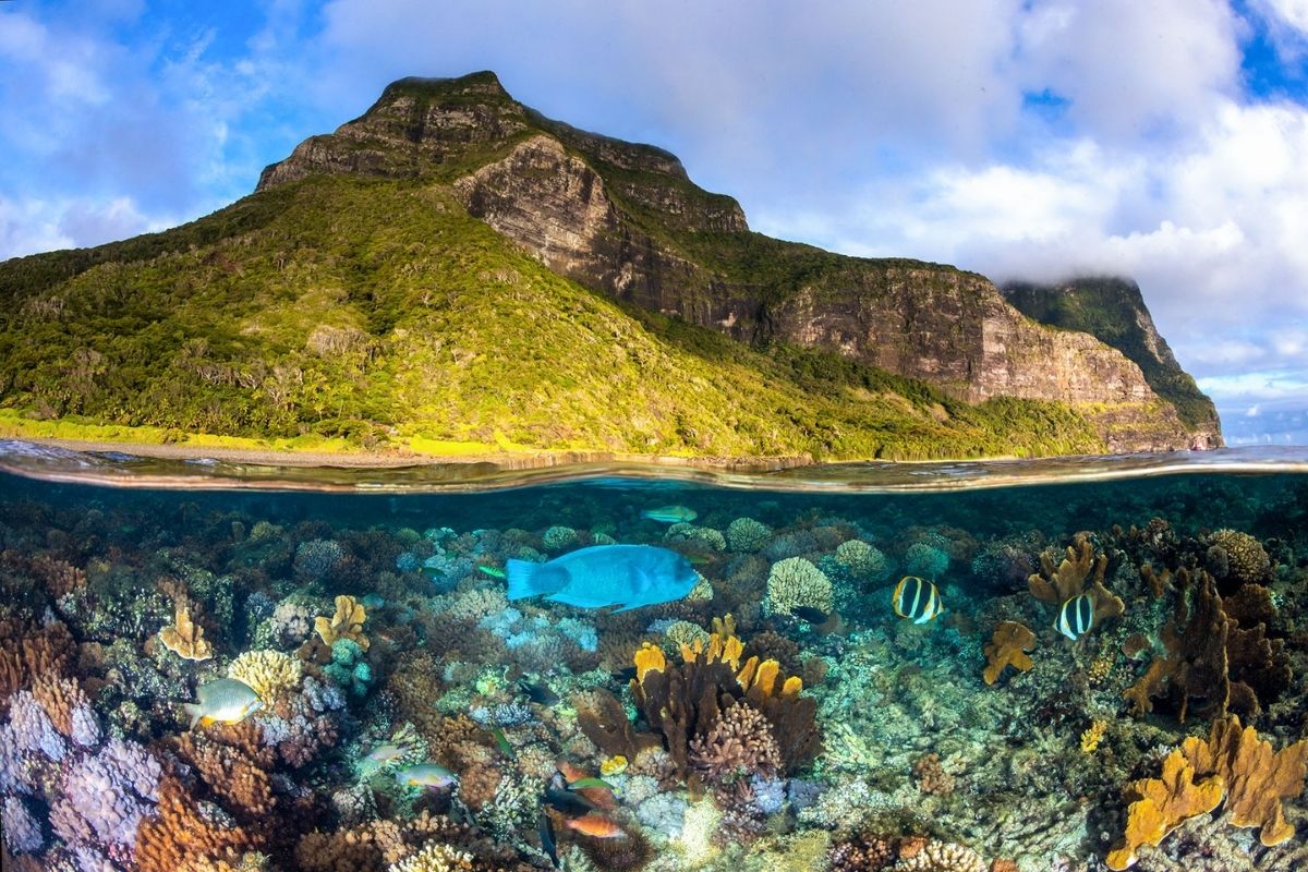 Lord Howe Island, New South Wales