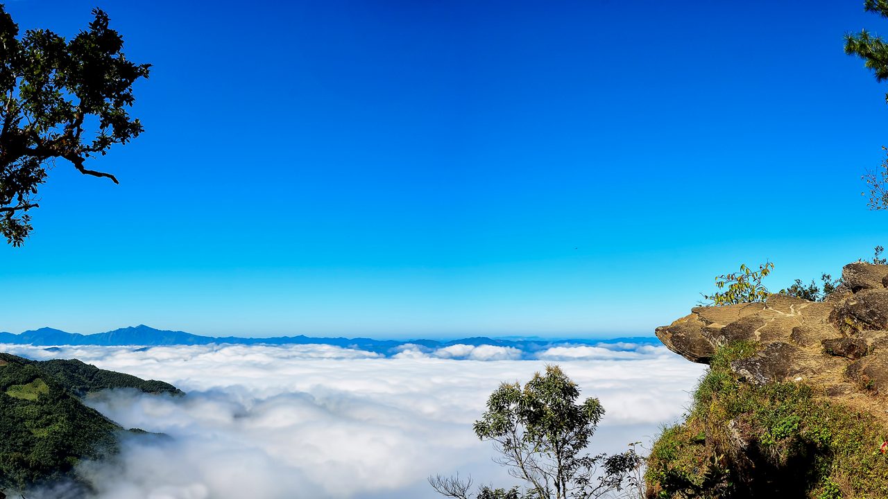 Life Close to Nature