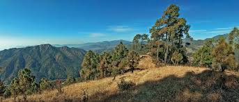 A Future Worth Protecting