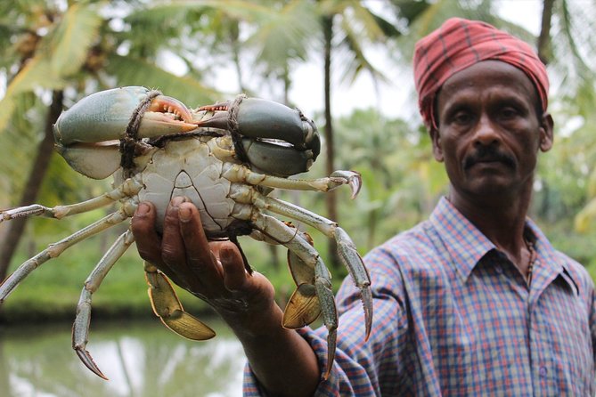 Life Around the Backwaters