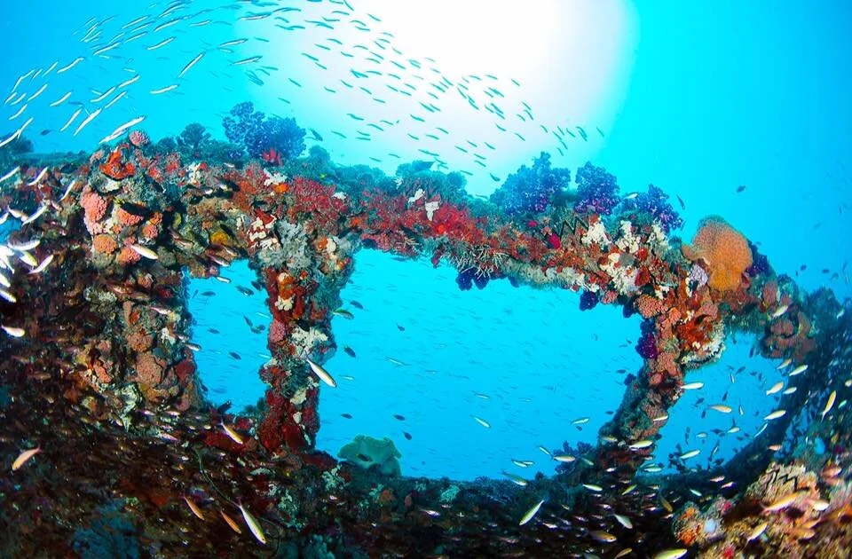 SS Yongala Wreck, Queensland