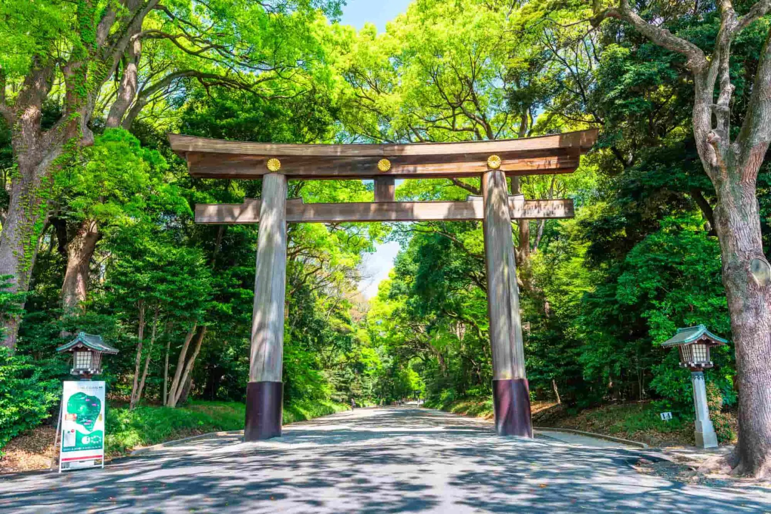 Explore the Tranquil Grandeur of Meiji Shrine