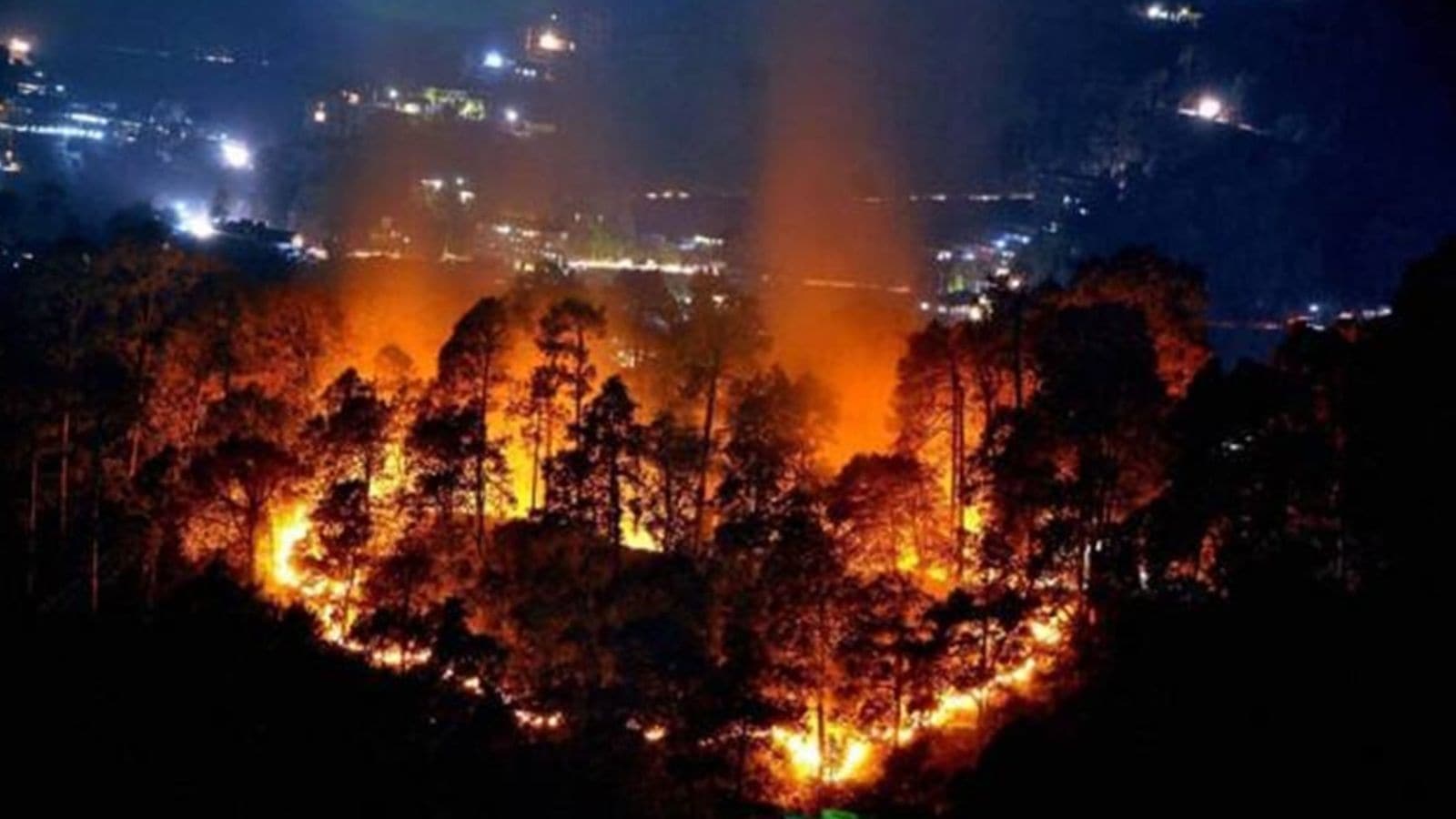 Understanding the “Silent Decline” of Forest Cover