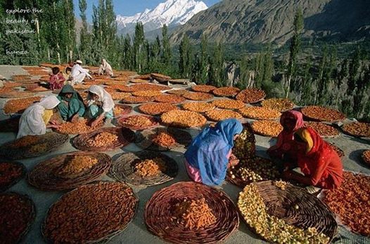 Balti Culture & Warm Hospitality