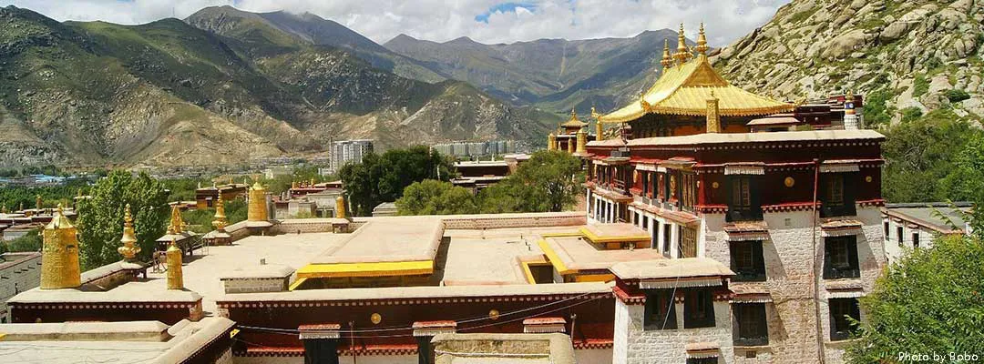 The Rhythm of Daily Life