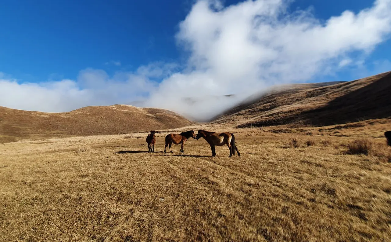 Experiences That Define Dong