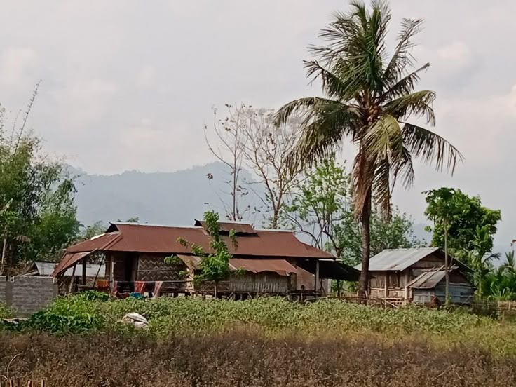 Life on Stilts – Architecture of Adaptation