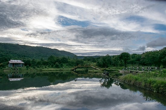 Where Rivers Create an Island