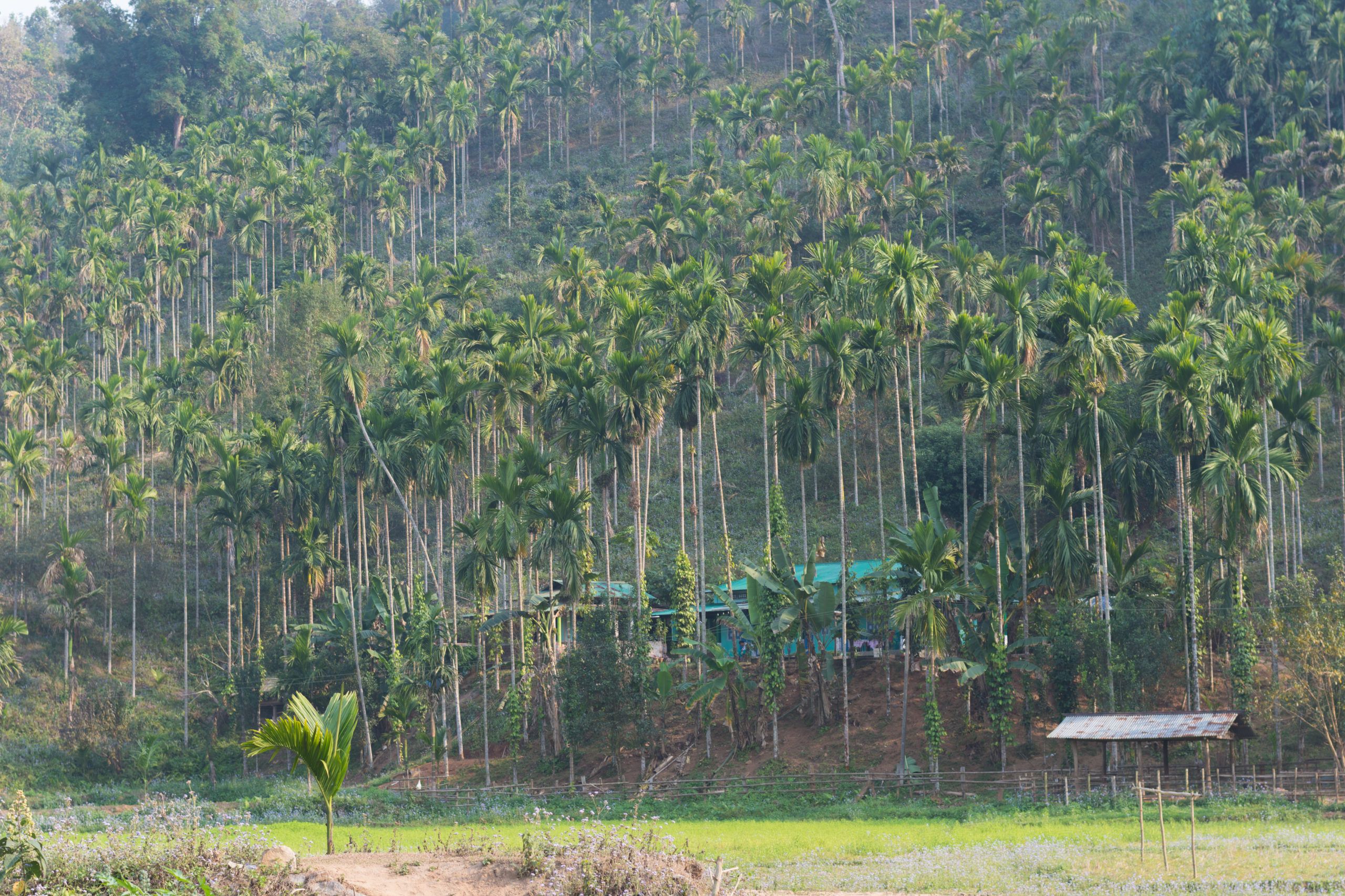 Experiences That Define Chandubi