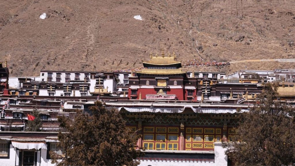 A Landscape That Feels Lived In