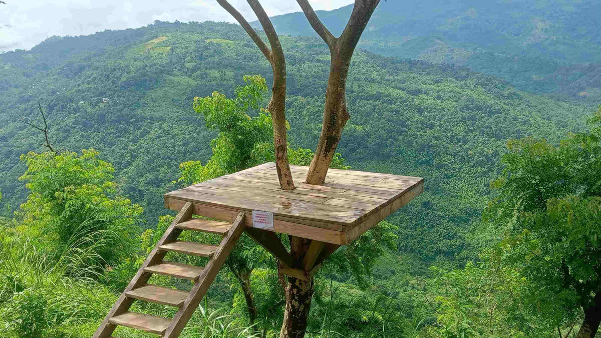 Geography: Rolling Hills & A Softer Himalaya