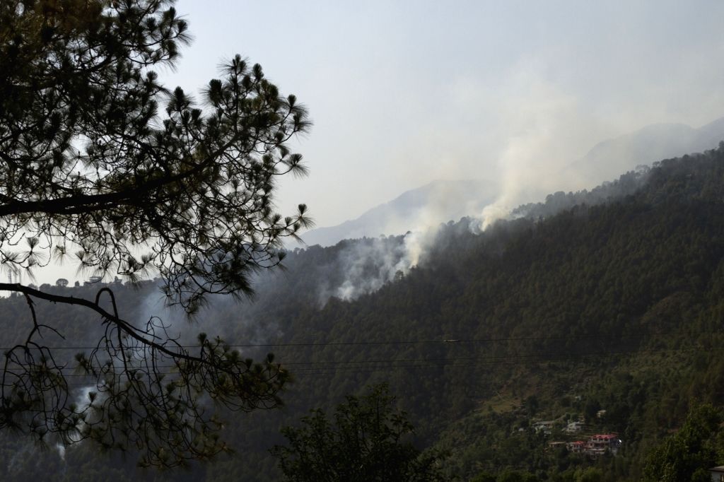 A Path Forward: Balancing Growth and Conservation