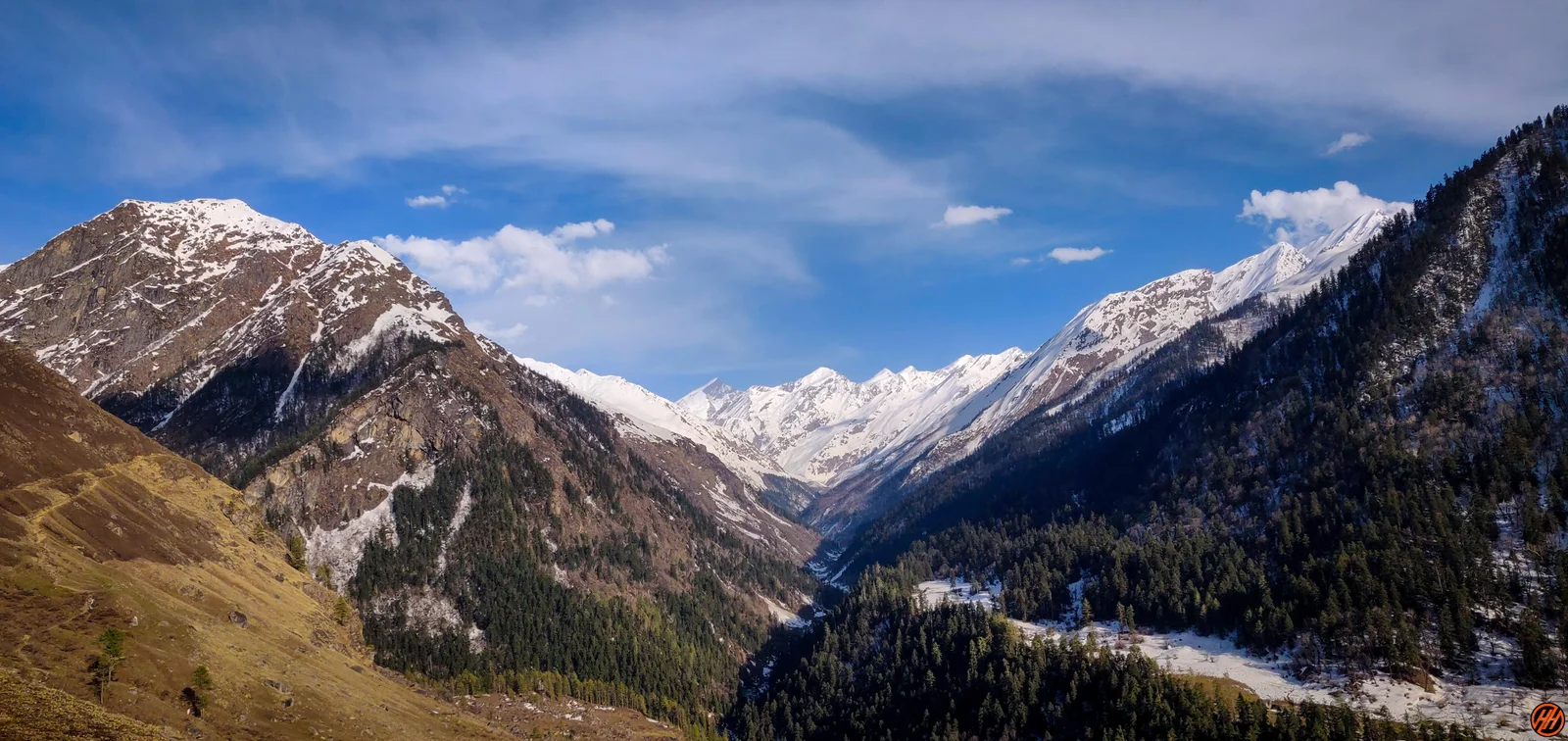 Culture & Local Life