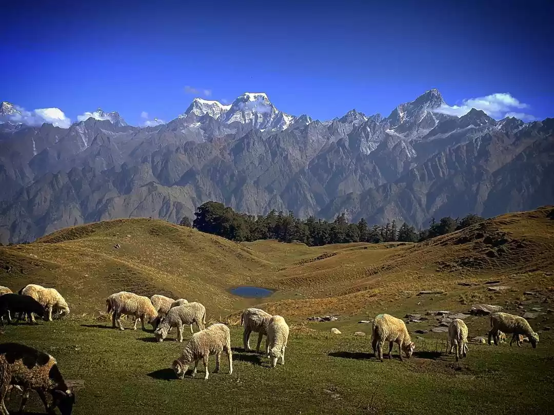 The Elegance of a Buffer Zone Trek