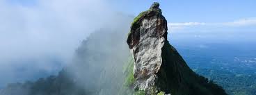 Why Forests Are the Heart of Himalayan Travel