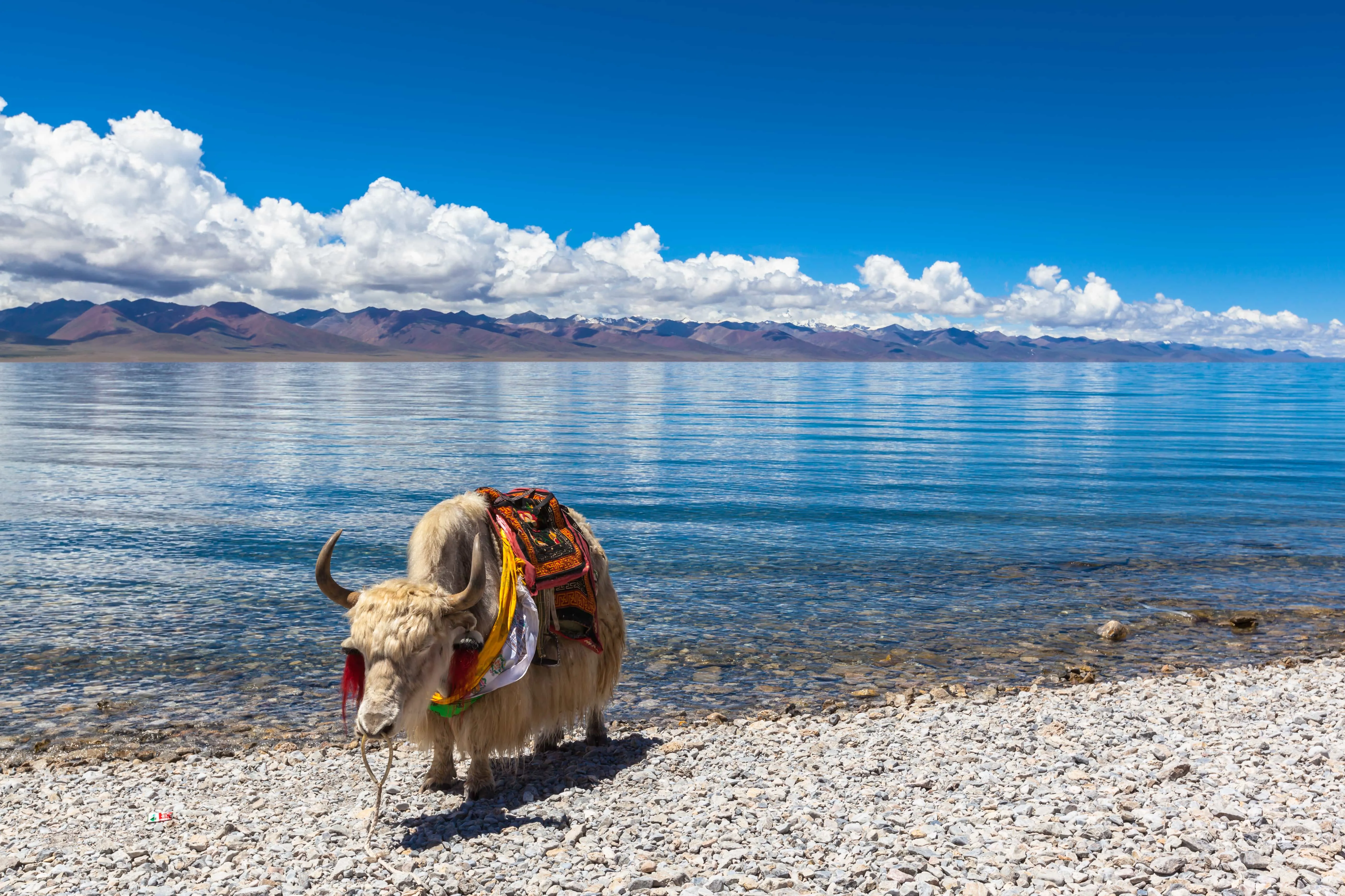 Namtso Lake – The Sacred Mirror of the Sky