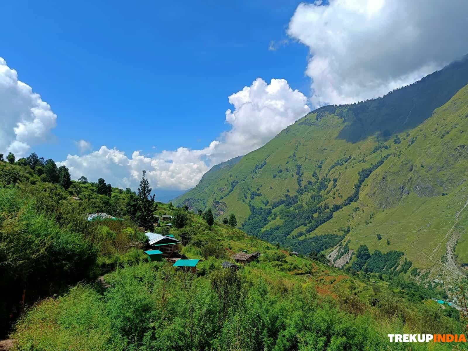 A Landscape of Raw Purity