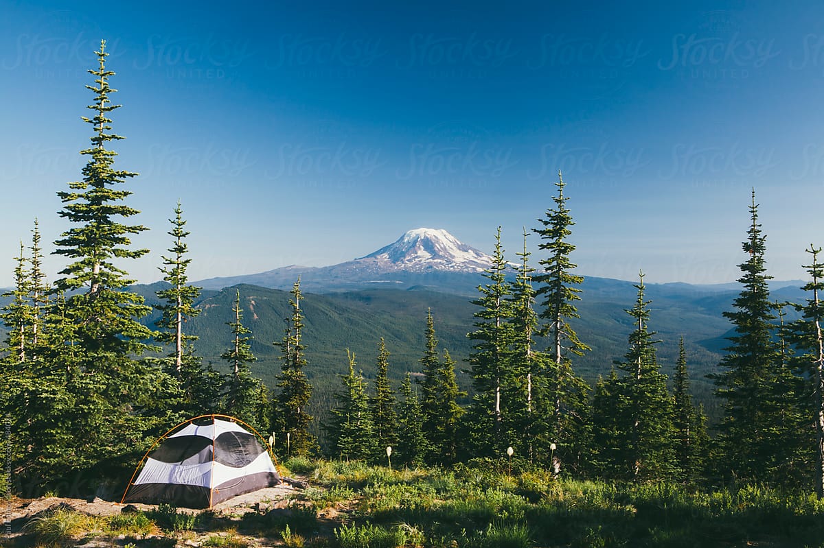 The Balance Between Popularity and Purity