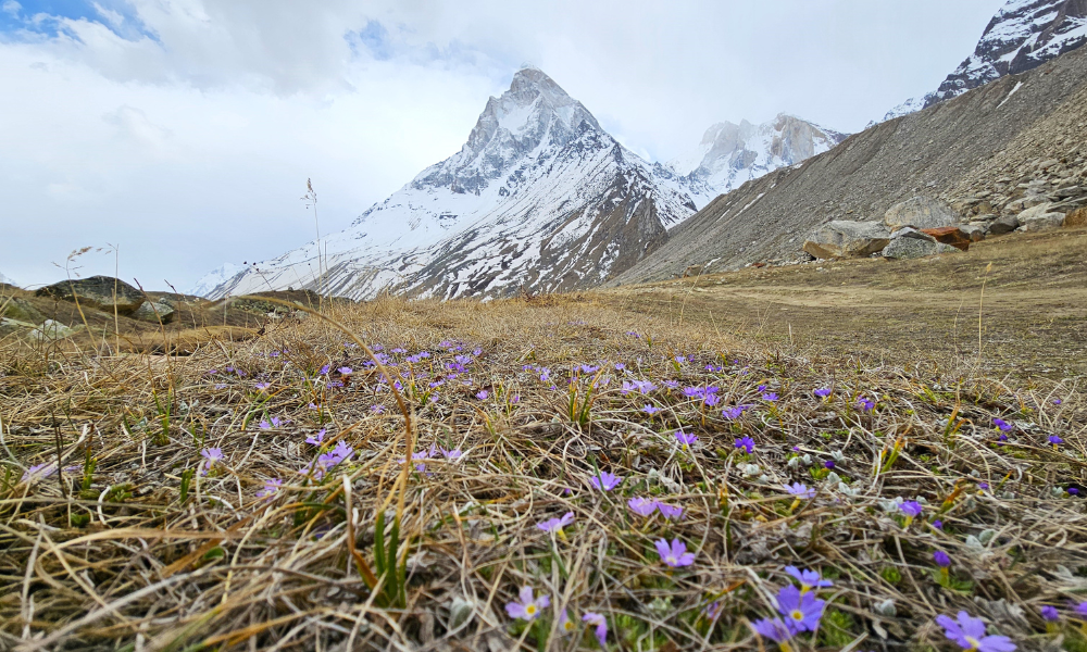 A Landscape of Contrast and Balance