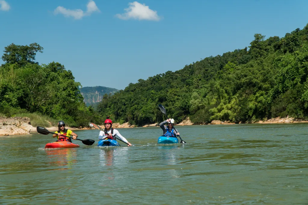 Where Rivers Create an Island