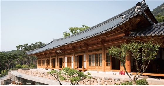 Temple Stay Experience – A Night of Spiritual Reflection