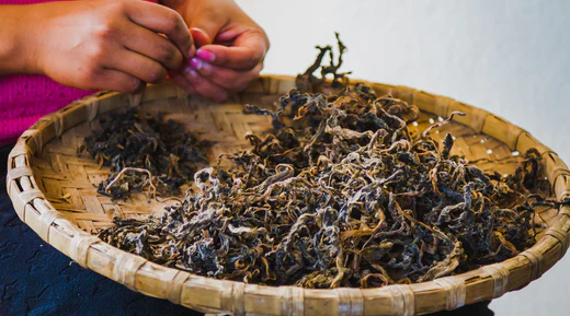 Gundruk Soup – Fermented, Earthy, and Comforting